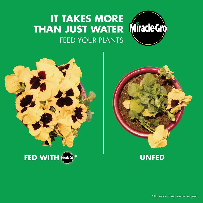 Miracle-Gro&reg; Water Soluble Bloom Booster&reg; Flower Food image number null